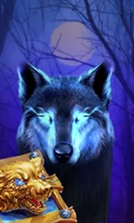 Book Of The Night Wolf